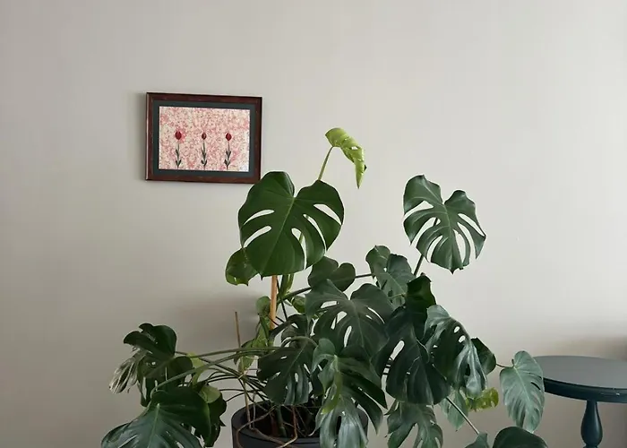 Prázdninový dům Suna Summer House *