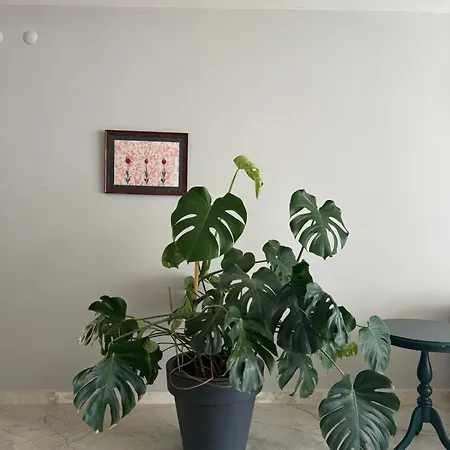 בית נופש Suna Summer House *